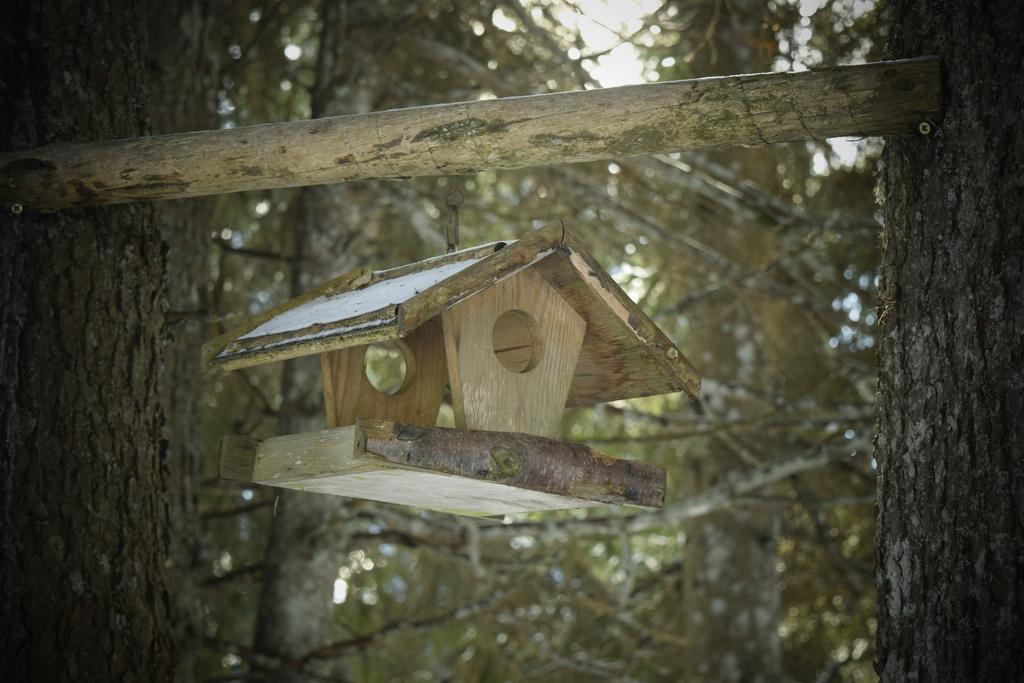 Chalet Pokljuka Goreljek Luaran gambar